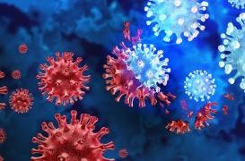 Covid-19 : faut-il craindre le sous-variant d’Omicron ?