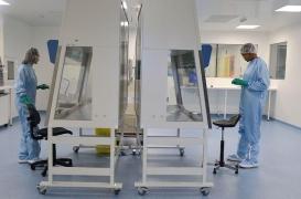 Myopathie de Duchenne : résultats prometteurs pour une nouvelle thérapie génique