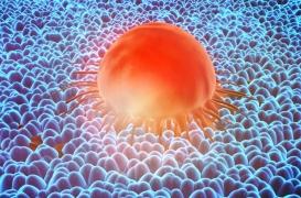 Une nouvelle parade contre les métastases ?