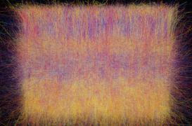 Cerveau : des chercheurs parviennent à simuler son fonctionnement