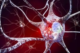  Vers un traitement pour guérir de la maladie de Parkinson ?