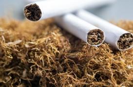 À ceux qui voudraient l’utiliser pour se protéger contre le Covid-19, rappel des effets désastreux de la nicotine
