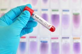 Épidémie : le virus Nipah sème l’inquiétude dans le sud de l’Inde