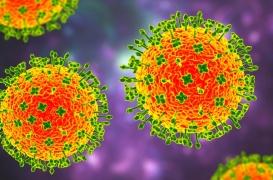 Un nouveau virus découvert en Chine