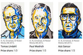 Prix Nobel de chimie : les mécanismes de réparation de l’ADN primés 