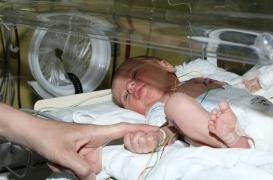 Grands prématurés : un utérus artificiel pour limiter les séquelles