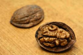 Obésité : manger des noix tous les jours fait baisser le cholestérol