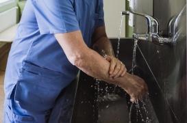 Le champignon mortel Candida auris continue de se propager aux Etats-Unis