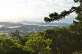 Dengue : la Nouvelle-Calédonie teste la stérilisation des moustiques