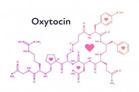 Il existe un possible lien entre “l'hormone de l'amour” et l'ostéoporose 