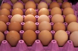 Fipronil : des pâtes fabriquées en France retirées du marché