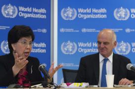 Ebola : l'épidémie éradiquée dans les quatre mois