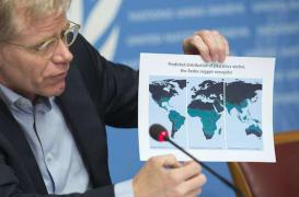 Zika : le lien direct avec la microcéphalie n’est pas encore établi