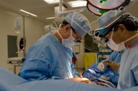 Pontage coronarien : un nouveau dispositif améliore la durabilité des greffes