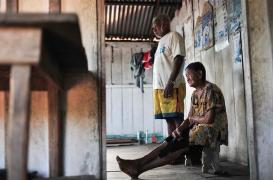 Le Brésil menacé par un virus transmis par des moucherons