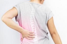 Ostéoporose : quand les traitements font polémique 