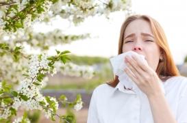 Allergie au pollen : des biomarqueurs permettent de prédire la gravité des symptômes 