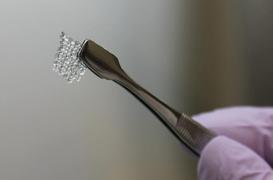 Des souris sont nées grâce à des ovaires en 3D 