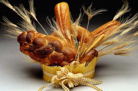 Allergies alimentaires de l'enfant : des prébiotiques pendant la grossesse pourraient diminuer les risques