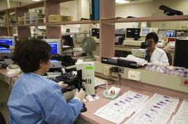 Cancer du pancréas : 9 000 décès par an en France