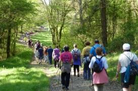 Parcours du Coeur : les Français ont fait un million de kilomètres 