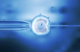 Ukraine : naissance du deuxième bébé à 3 ADN 