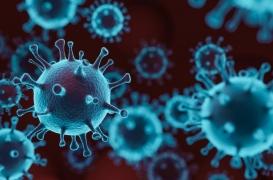 Formes légères de la covid-19 : l’immunité disparaîtrait deux mois après l’infection 