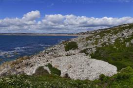 Les cadres de vie plaisants sont bons pour la santé