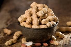 Allergie aux arachides : la piste du microbiote fécal 