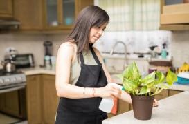 Pesticides : trois Français sur quatre les utilisent à la maison