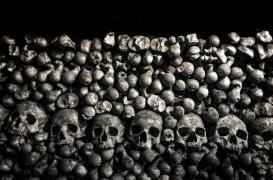 Découverte : la peste bubonique est apparue il y a au moins 4000 ans