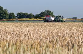 Pesticides agricoles : les riverains exposés aux perturbateurs endocriniens