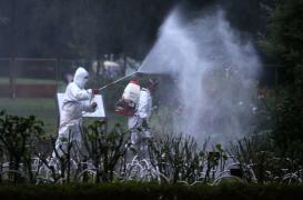 Pesticides : leur lien avec la maladie de Parkinson expliqué