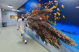 Cancer : comment les océans peuvent aider à le guérir