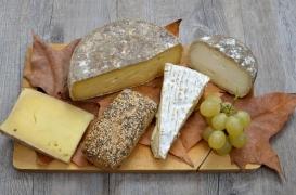 IG Nobel : des travaux français sur le fromage récompensés