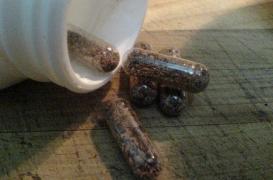 Manger son placenta : pas de bénéfice avéré