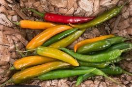 Le jeu du Piment, la porte ouverte à des jeux mortels