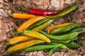 « Jeu du piment » : la gendarmerie du Pas-de-Calais alerte