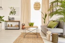 Les plantes en pot n'améliorent pas la qualité de l'air intérieur