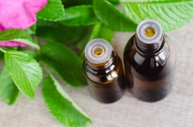 Cancer : des plantes de l'île Maurice pour empêcher les cellules cancéreuses de se diviser