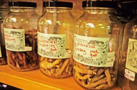 Cancers : les plantes médicinales à éviter