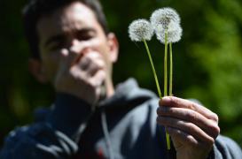 Allergies aux pollens : 12 départements dans le rouge