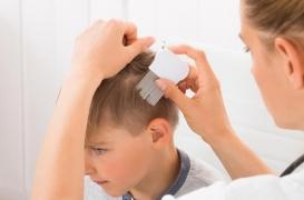 Fipronil : des parents utilisent le pesticide pour éliminer les poux de leurs enfants 