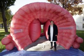 Movember : visite guidée d'une prostate géante