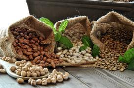 Longévité : les protéines végétales réduisent la mortalité cardiovasculaire