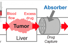 Cancer et chimiothérapie : une éponge en 3D pour absorber le surplus de médicaments