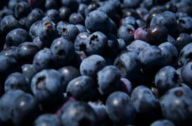 Myrtilles et vin rouge pour réduire les troubles de l'érection