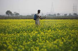 Perturbateurs endocriniens : Bruxelles condamné