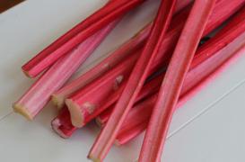Rhubarbe : une piste nouvelle pour lutter contre le cancer