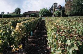 Pesticides près des écoles : 56000 signataires exigent des mesures